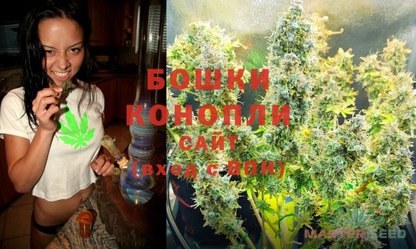 дурь Аркадак