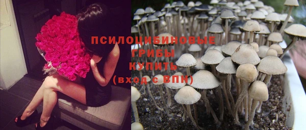 дурь Аркадак