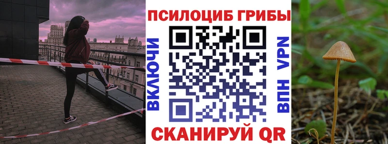 Галлюциногенные грибы GOLDEN TEACHER закладка Салехард